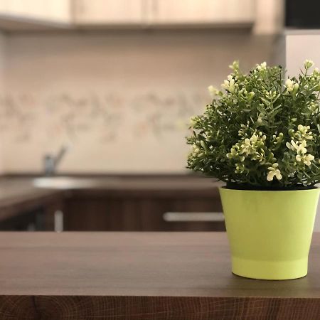 Exclusive Home - D. Apartman Pécs Eksteriør billede